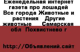 Еженедельная интернет - газета про лошадей - Все города Животные и растения » Другие животные   . Самарская обл.,Похвистнево г.